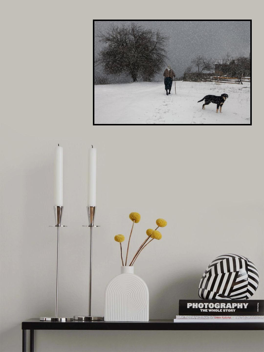 Тtracks in the snow Poster och Canvastavla