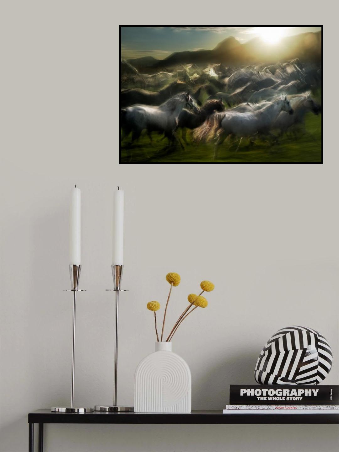Stampedo Poster och Canvastavla