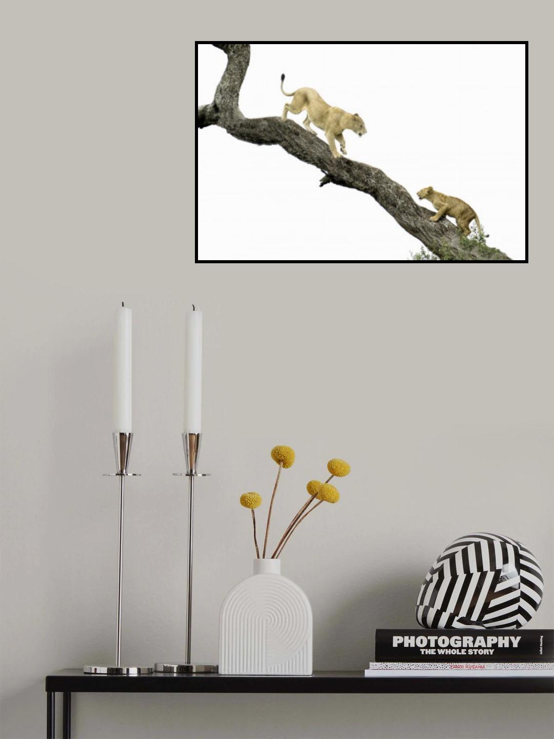 tree climbing lesson Poster och Canvastavla