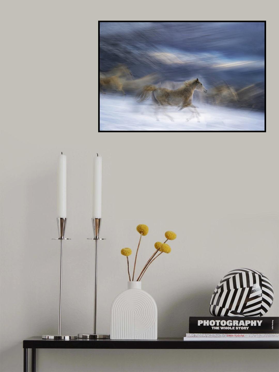gallop in the snow Poster och Canvastavla