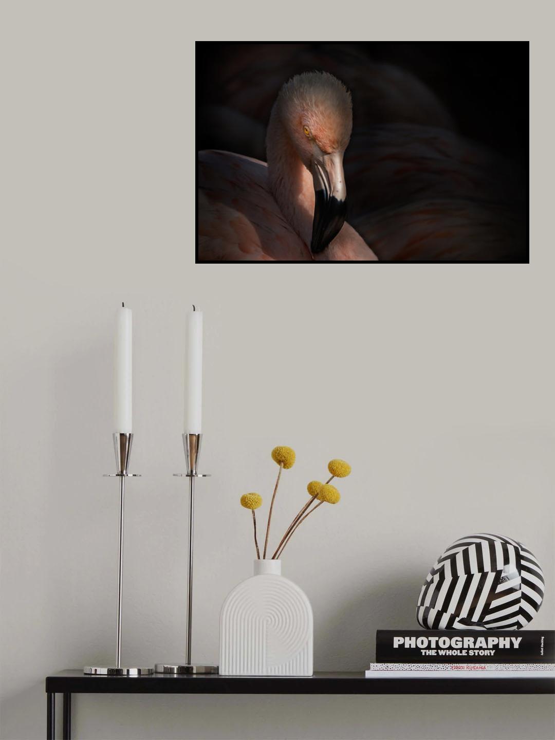Flamingo Poster och Canvastavla