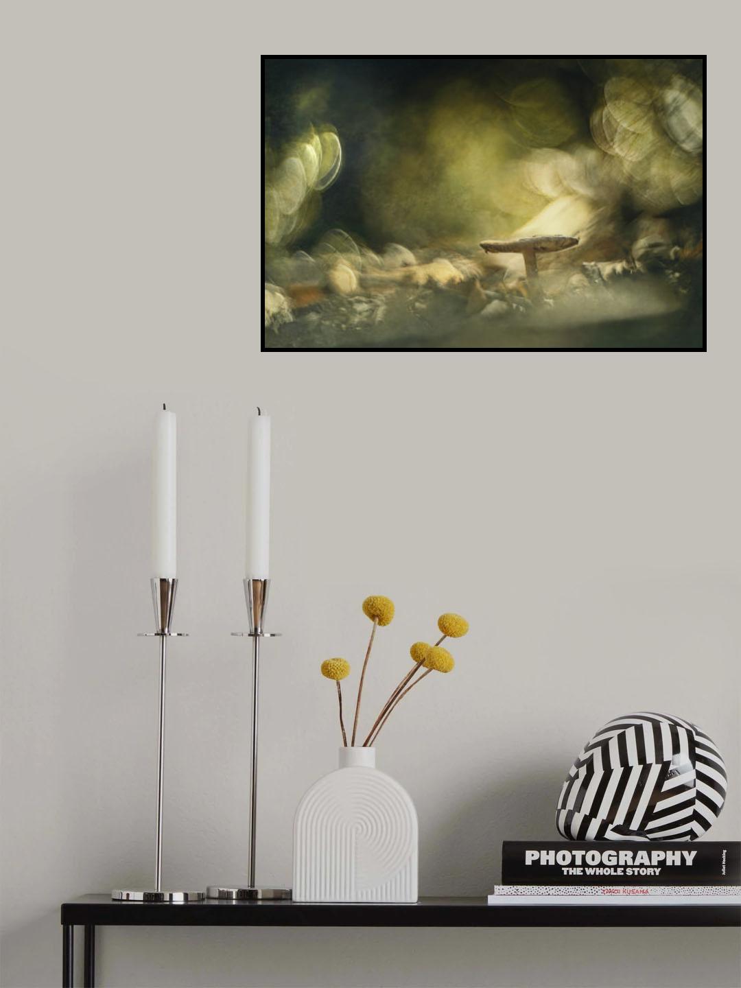 Where light is Poster och Canvastavla