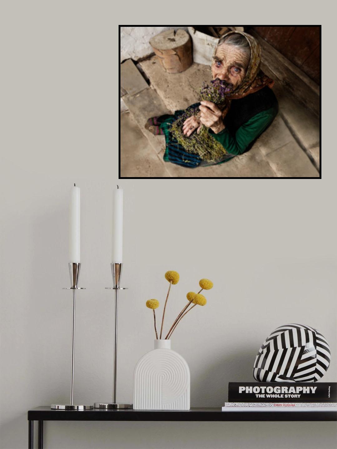 Girl,mother,grandmother-one face Poster och Canvastavla