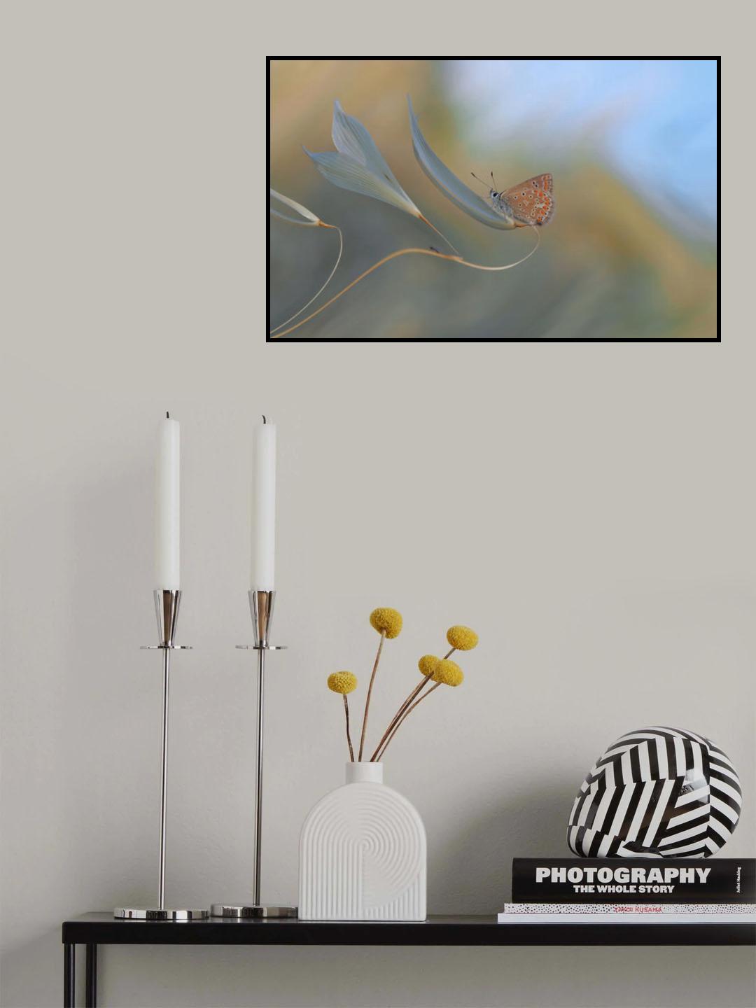 Resting smoothly... Poster och Canvastavla