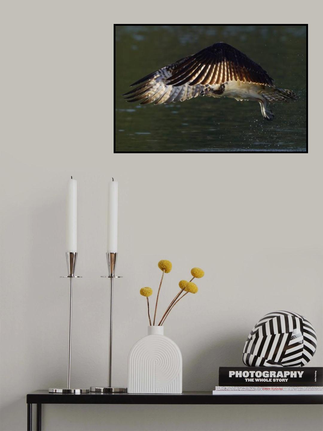 Towards the sun Poster och Canvastavla