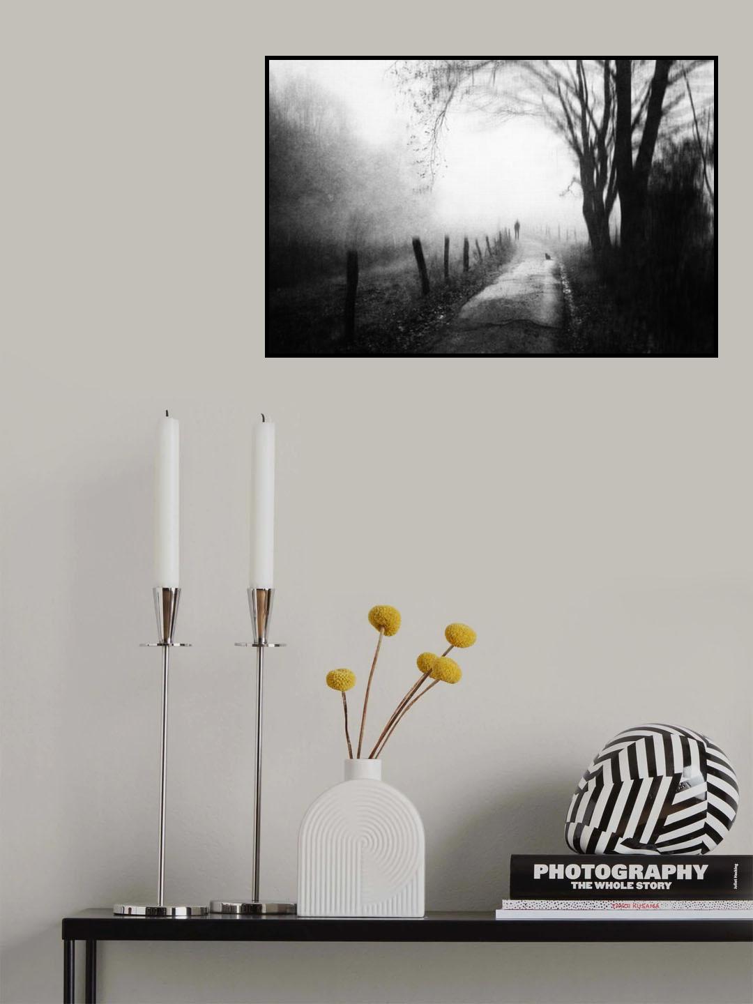 Left The Cat Poster och Canvastavla