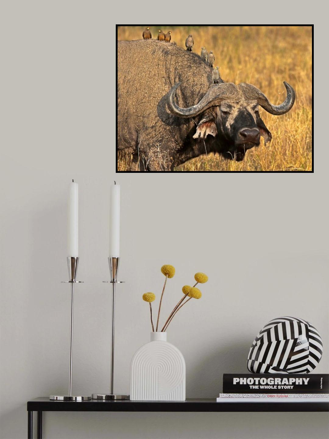 Brochette Poster och Canvastavla