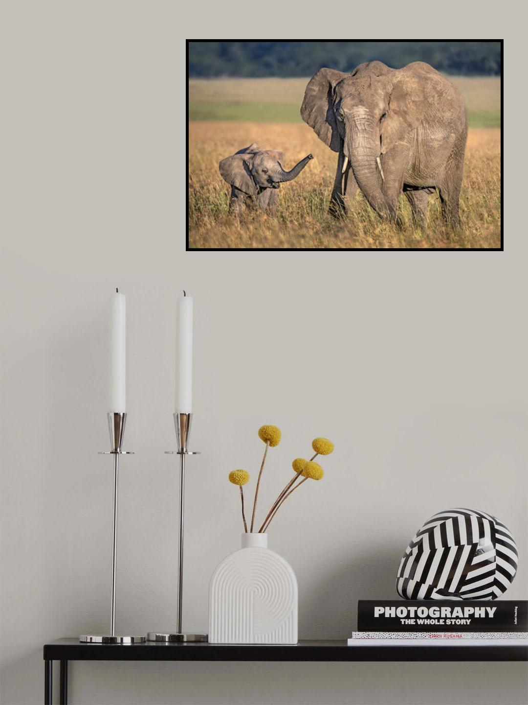 Mom elephant with calf Poster och Canvastavla