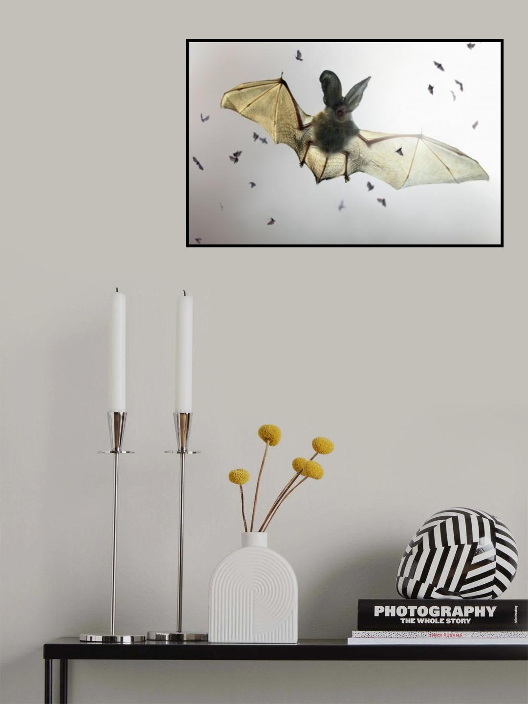 Bat Poster och Canvastavla