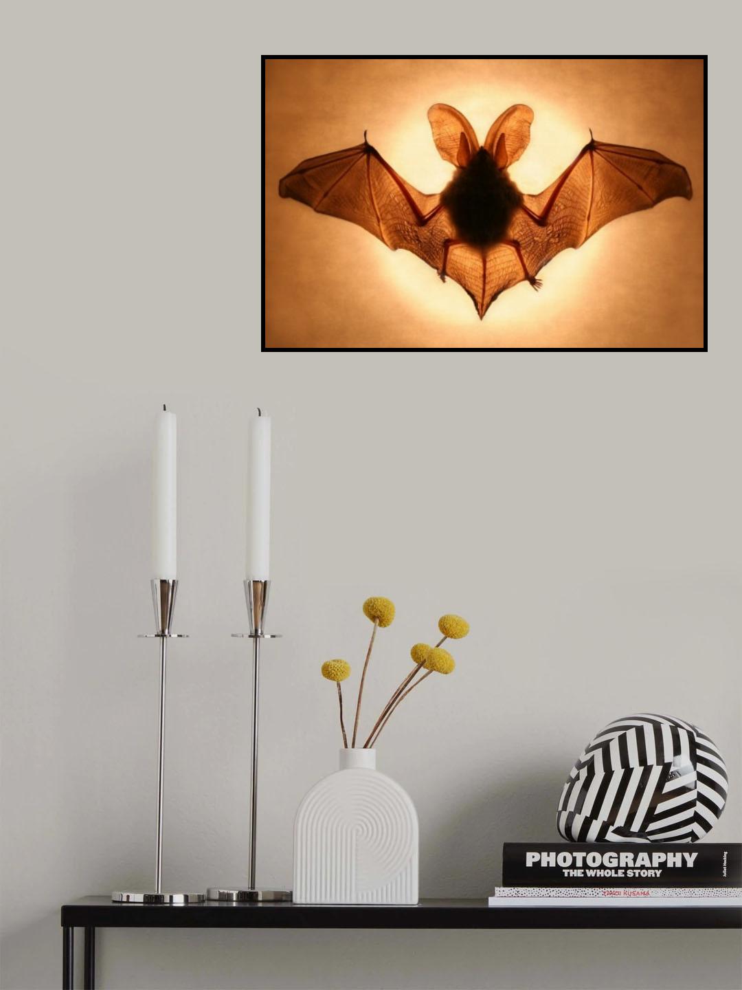 Bat Poster och Canvastavla