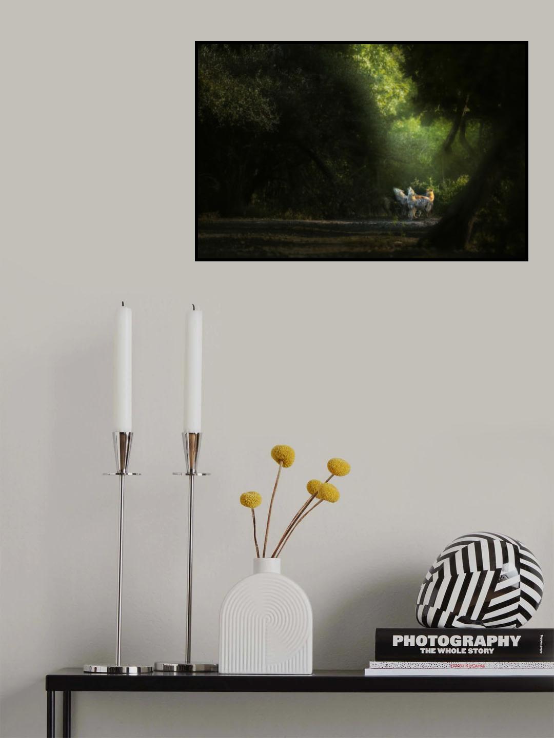 Jackals Howling Poster och Canvastavla