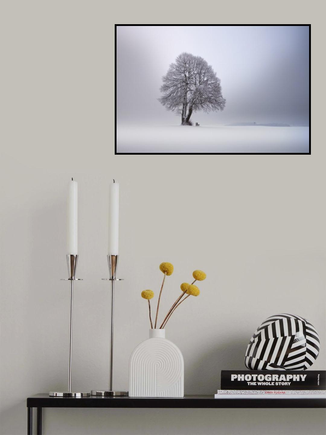 Winter light Poster och Canvastavla