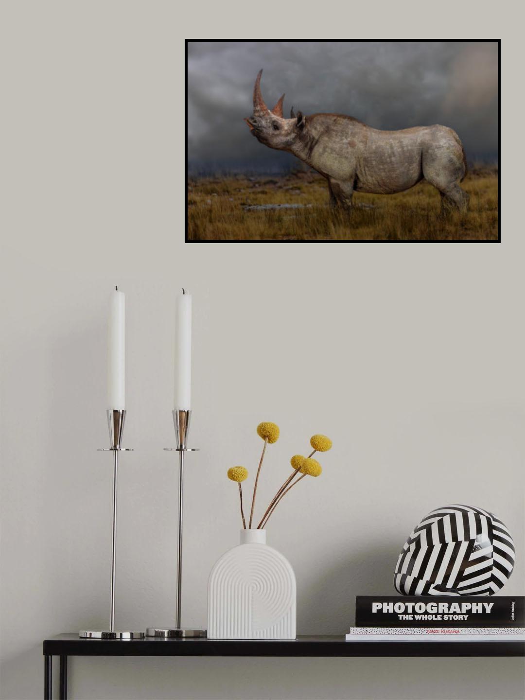 black rhino Poster och Canvastavla