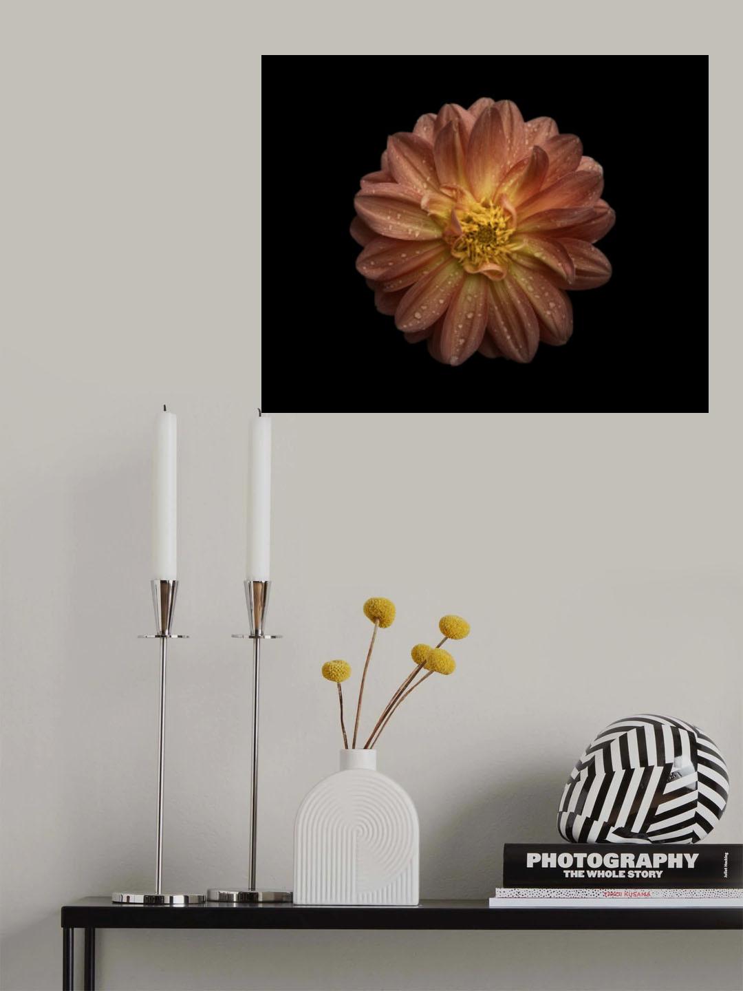 Dahlia Poster och Canvastavla