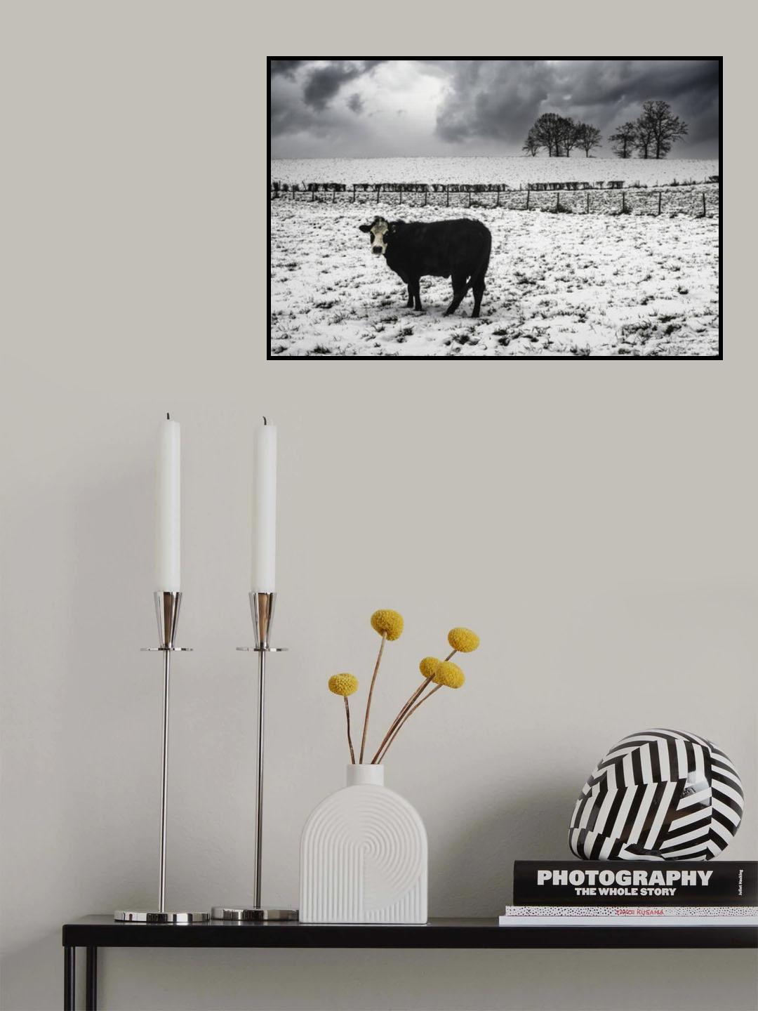 animal cruelty Poster och Canvastavla