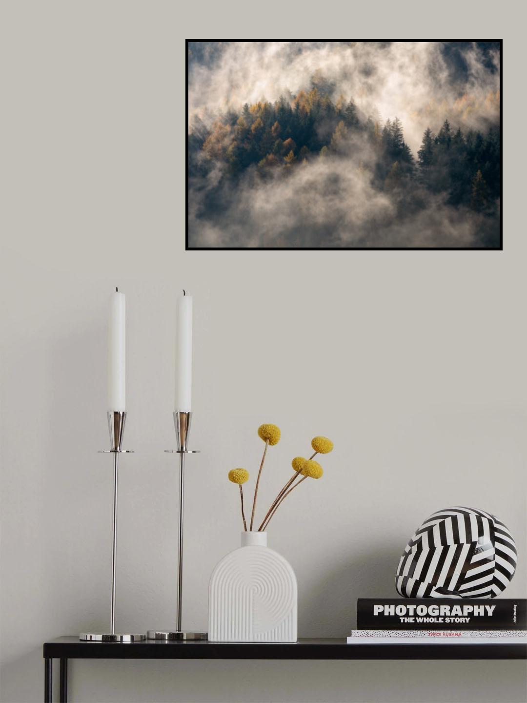 Fog in the trees Poster och Canvastavla