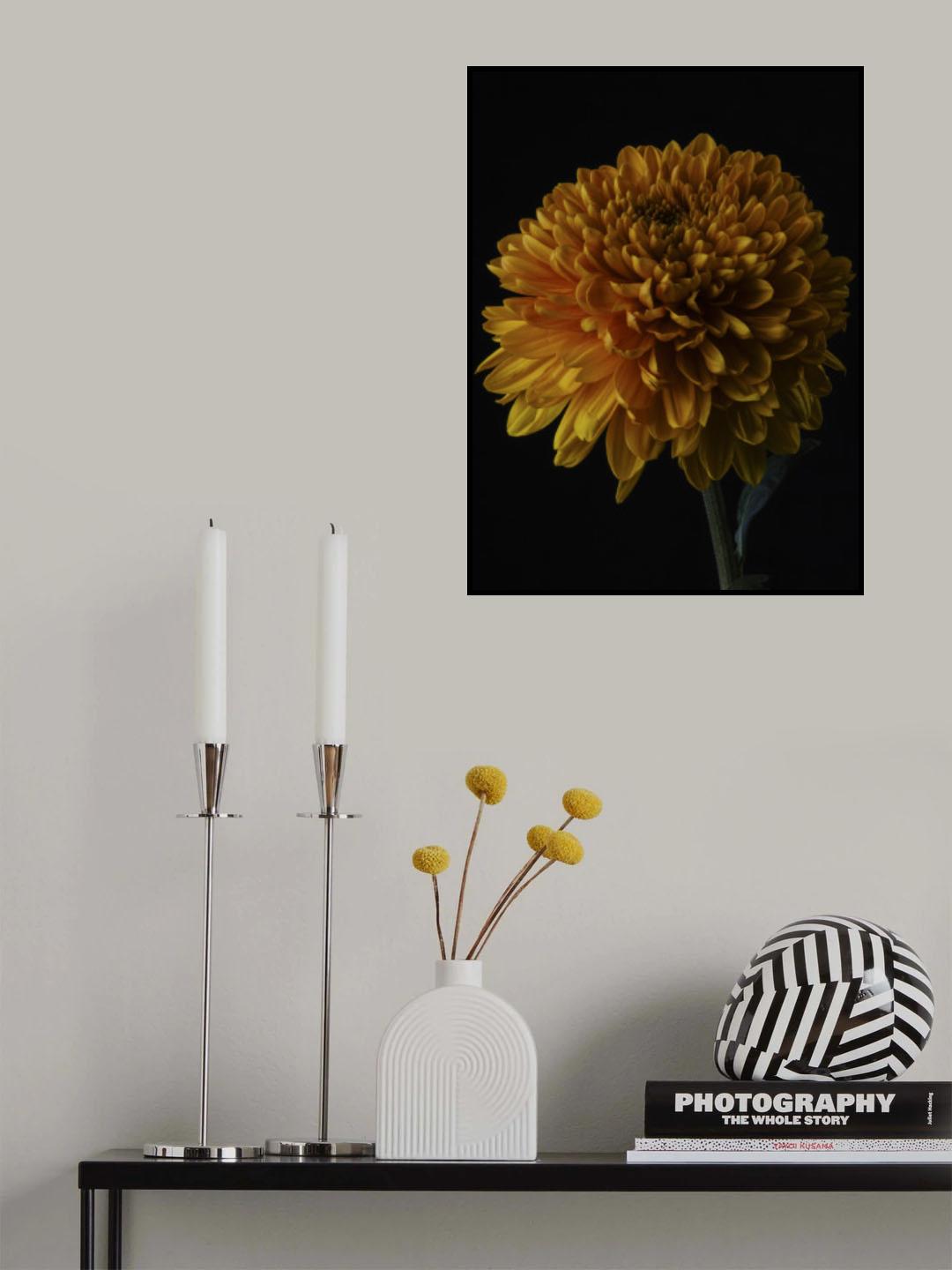 macro shot of a beautiful yellow flower Poster och Canvastavla