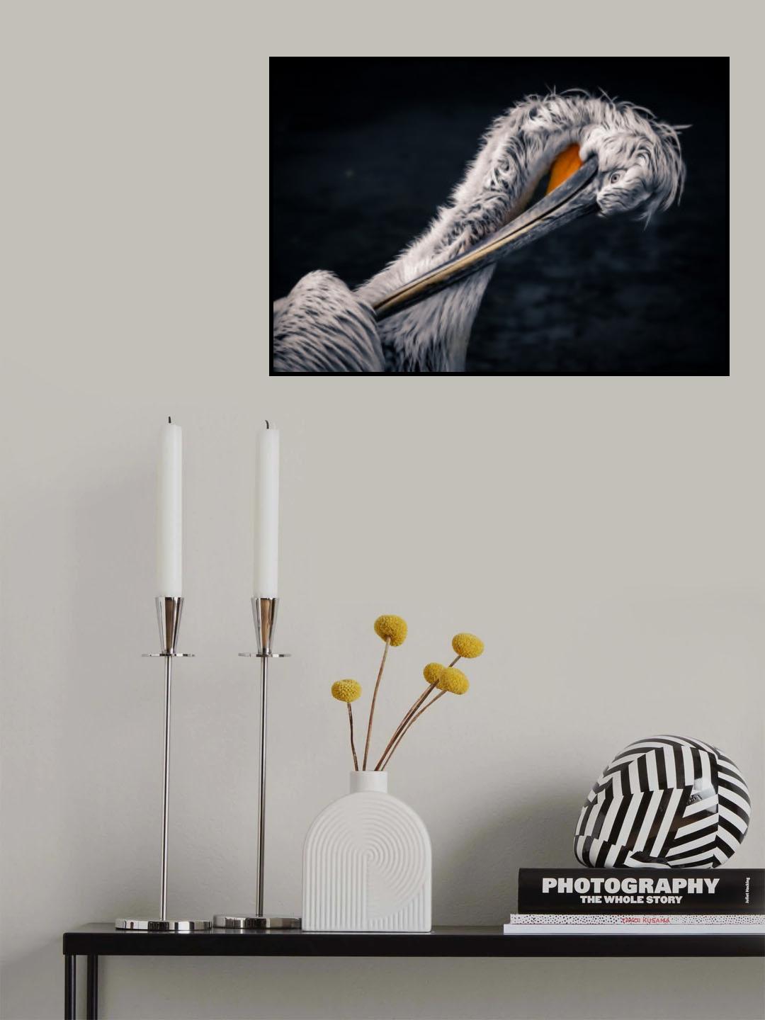 Plumage care Poster och Canvastavla