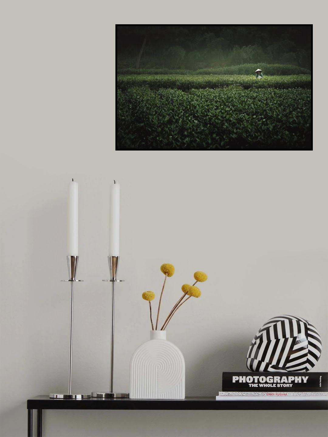 The Tea Picker Poster och Canvastavla