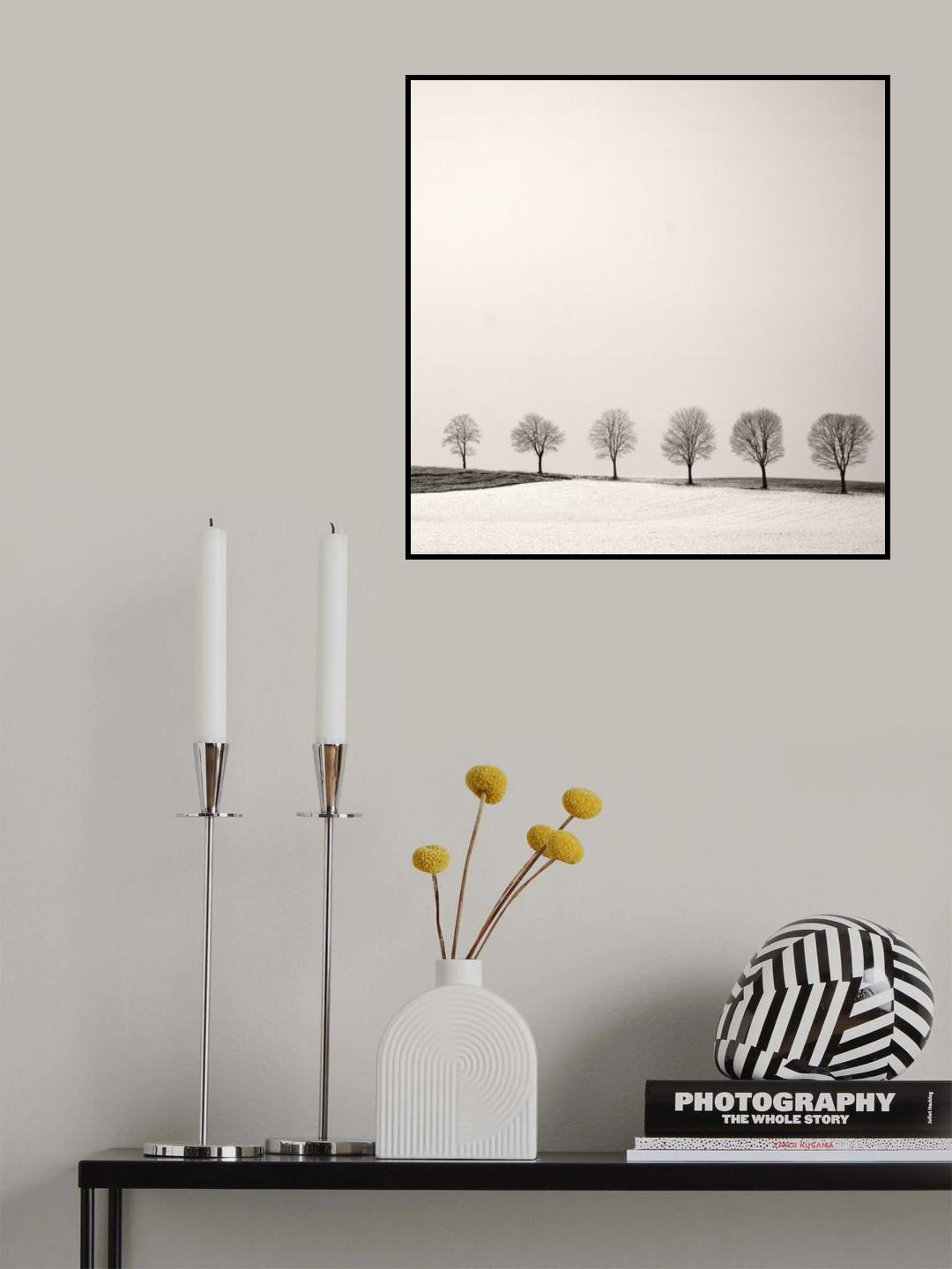 Tree Line Poster och Canvastavla