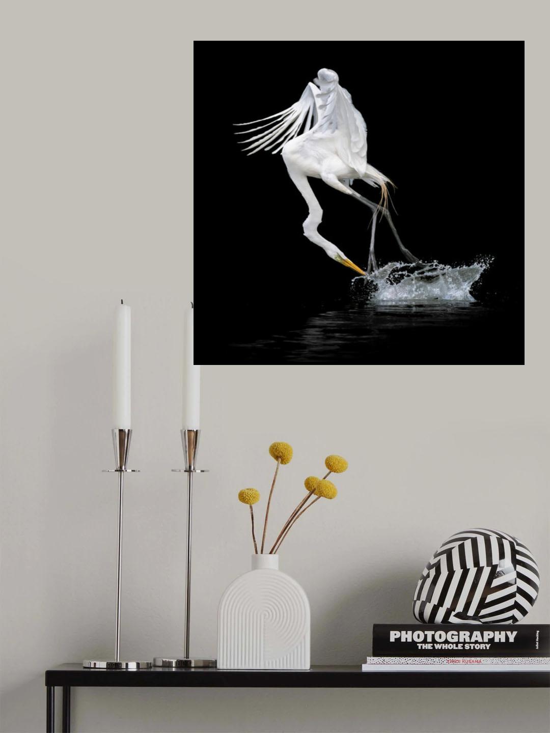 Out of Water Poster och Canvastavla