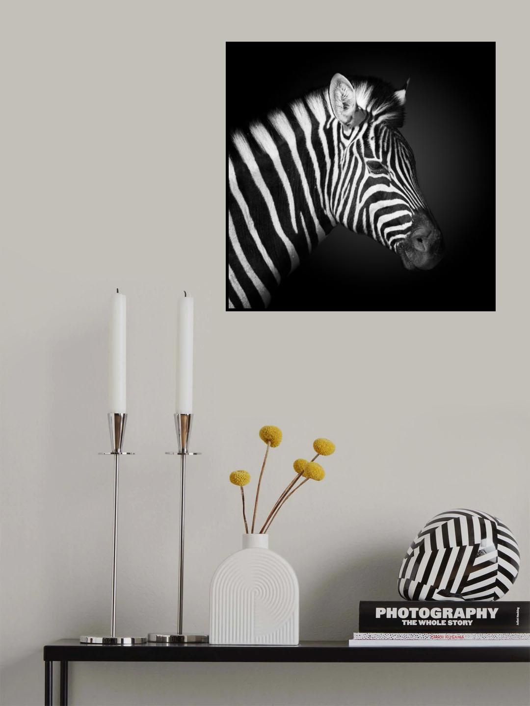 Z E B R A Poster och Canvastavla
