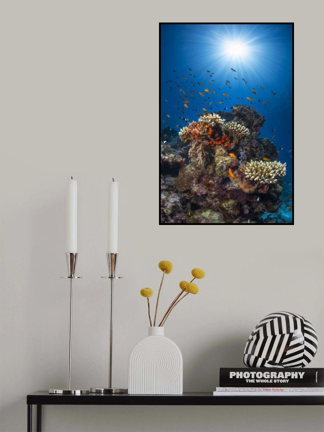 Reef and sunshine Poster och Canvastavla