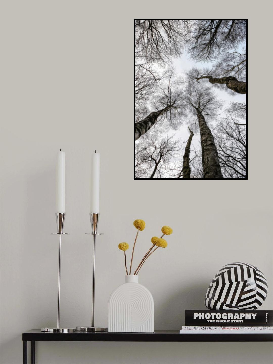 Forest No1 Poster och Canvastavla