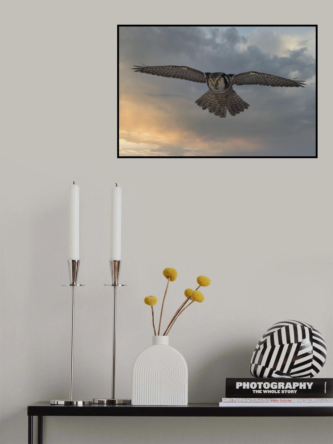 Sky Patrol Poster och Canvastavla