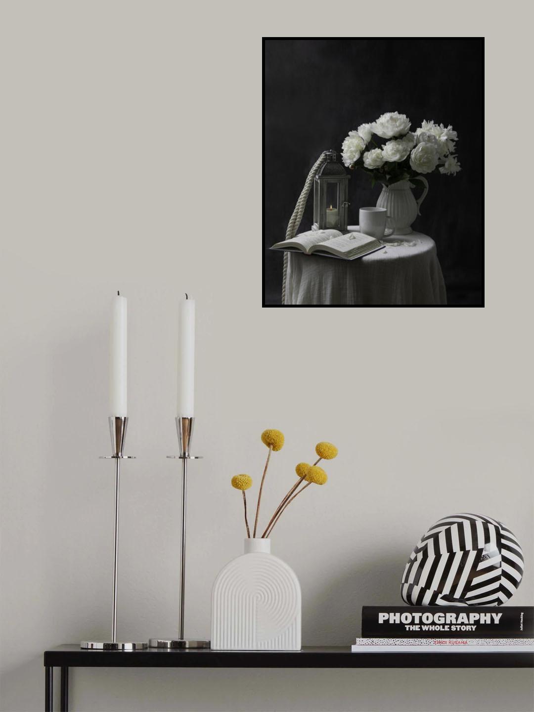 White Peony Poster och Canvastavla