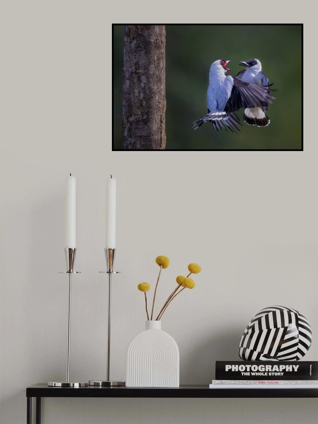 Let's dance Poster och Canvastavla