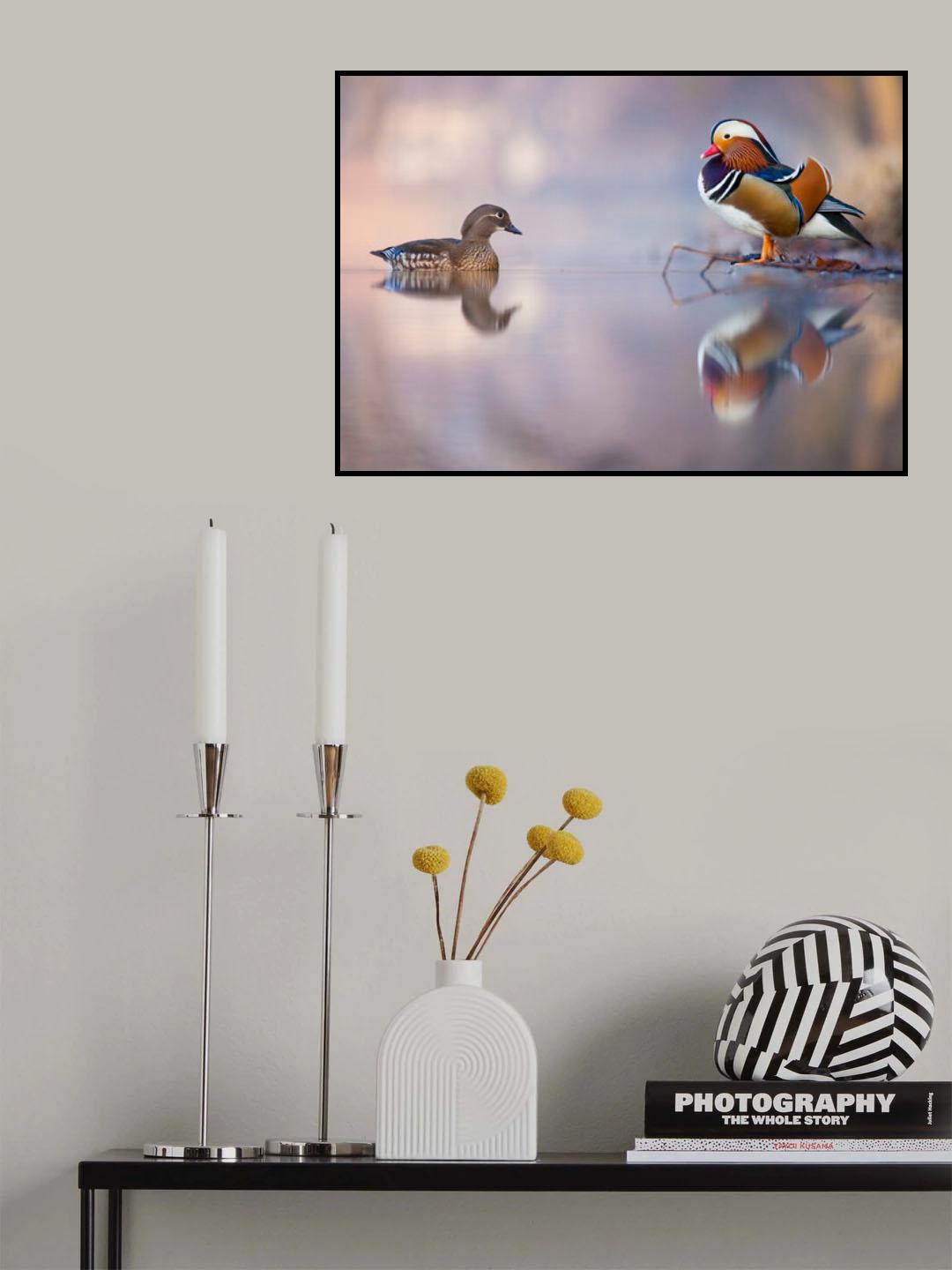 Mandarin duck Poster och Canvastavla