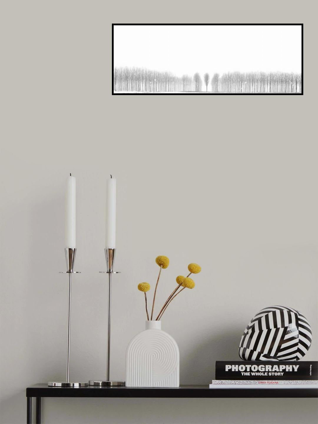 The souls of the winter Poster och Canvastavla