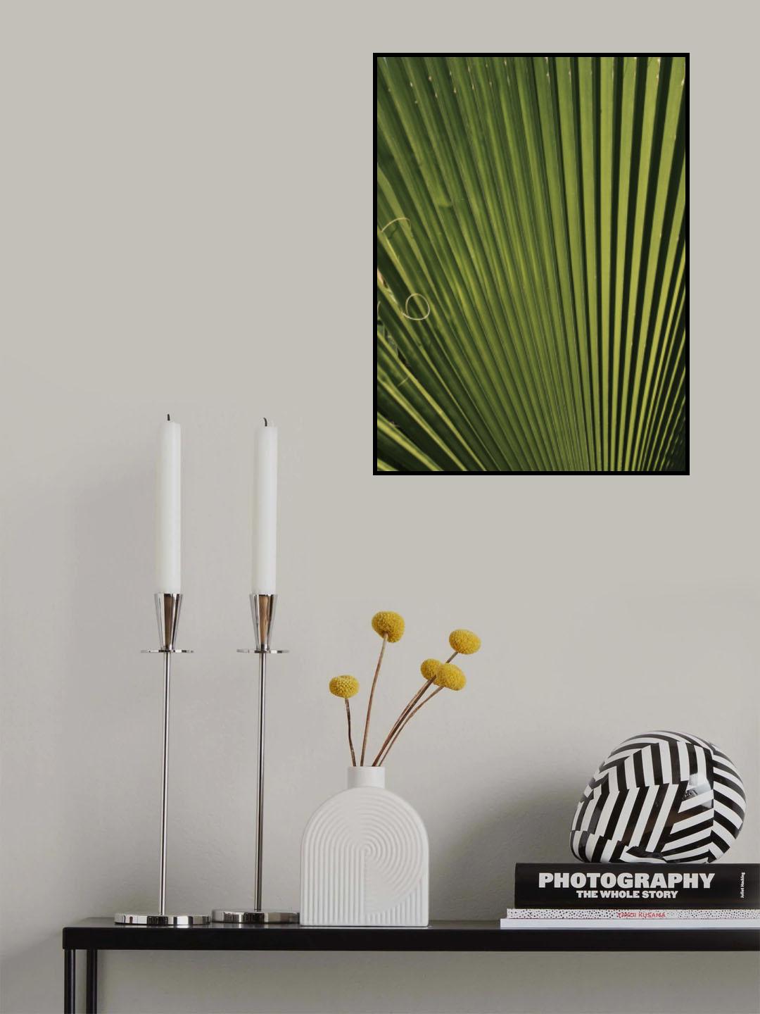 palm leaf Poster och Canvastavla