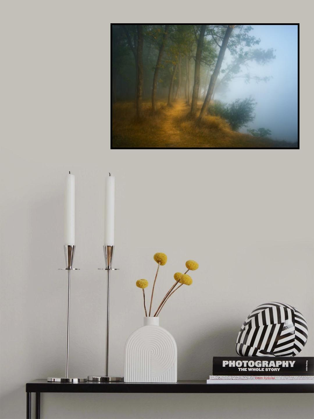 Foggy morning on Danube Poster och Canvastavla