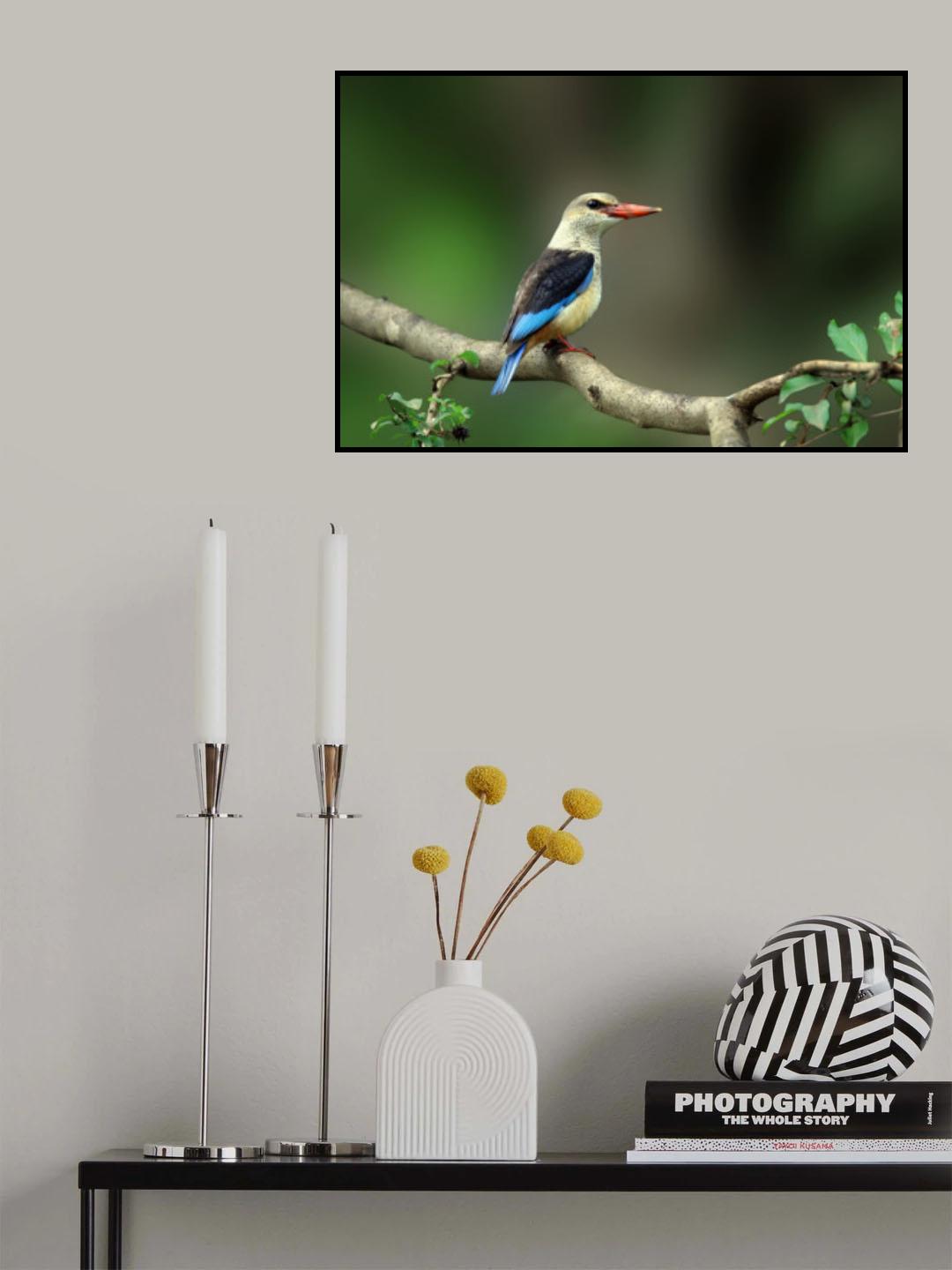 Gray-headed kingfisher Poster och Canvastavla