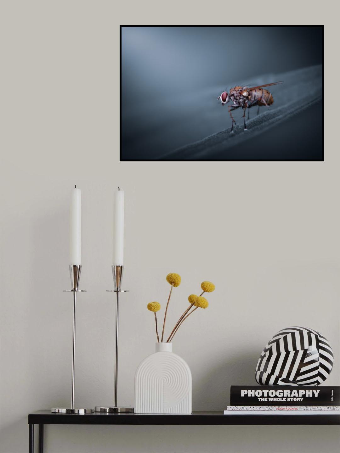 Perched Poster och Canvastavla