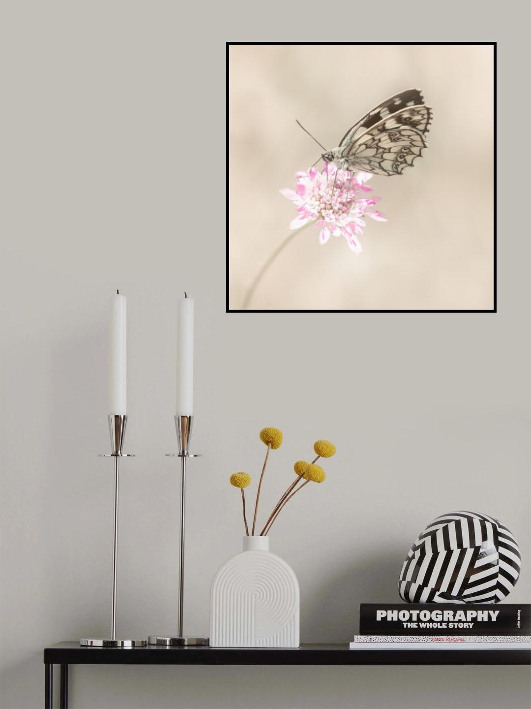 Softly. Poster och Canvastavla