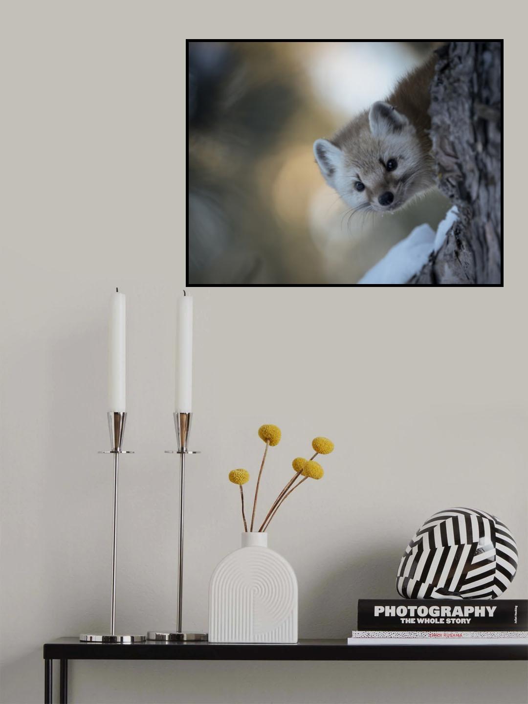 Pine Marten 4 Poster och Canvastavla