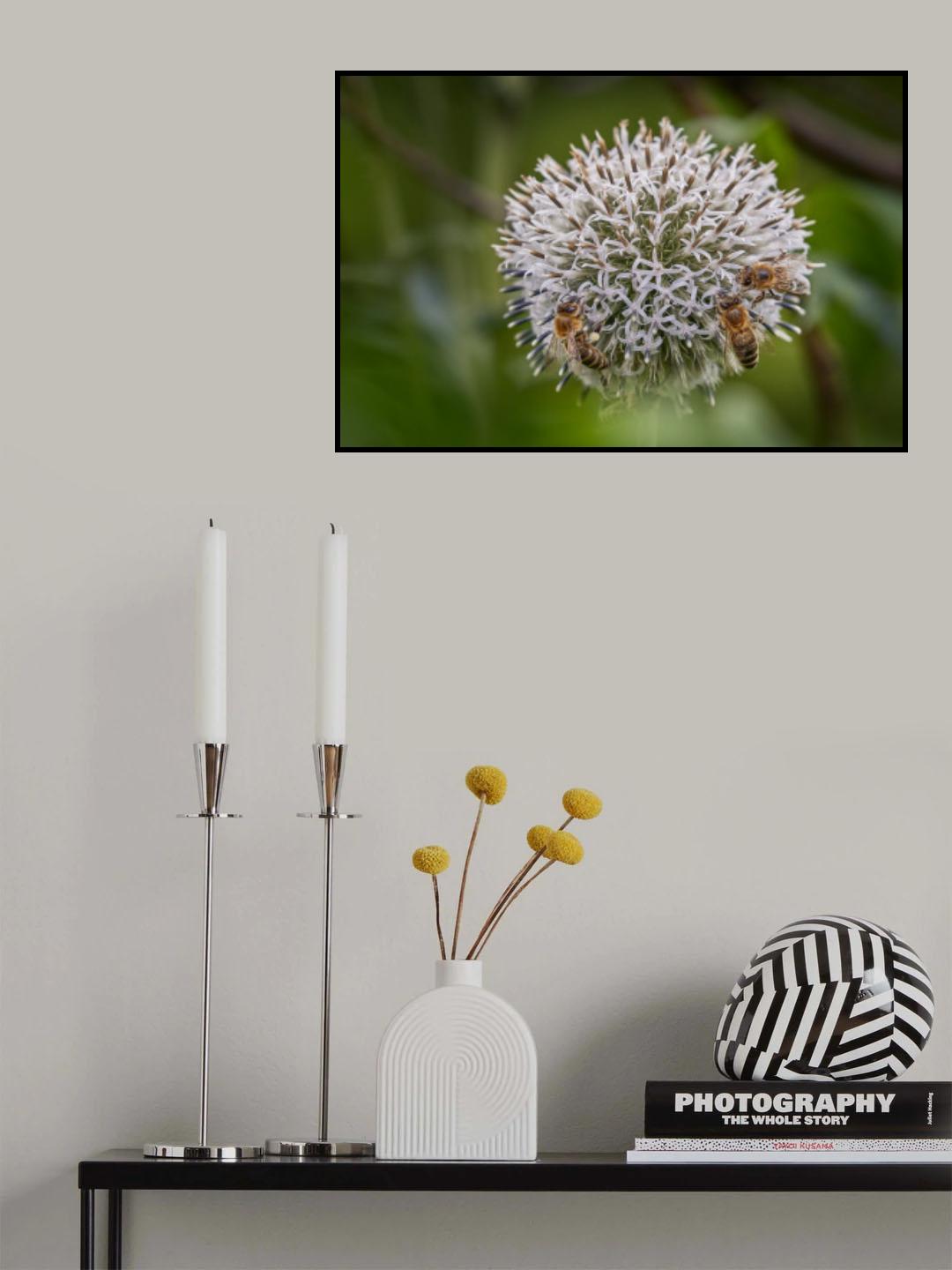 Vier Bienen Poster och Canvastavla