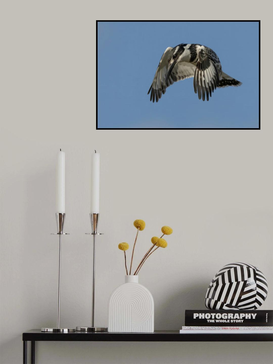 Hovering Poster och Canvastavla