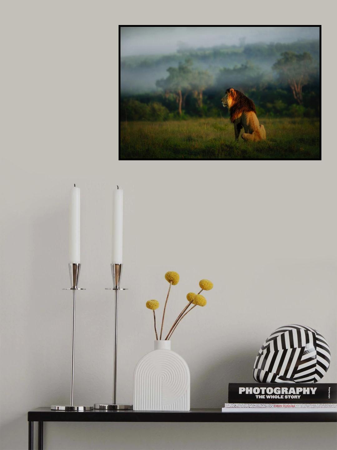 Old Lion Poster och Canvastavla