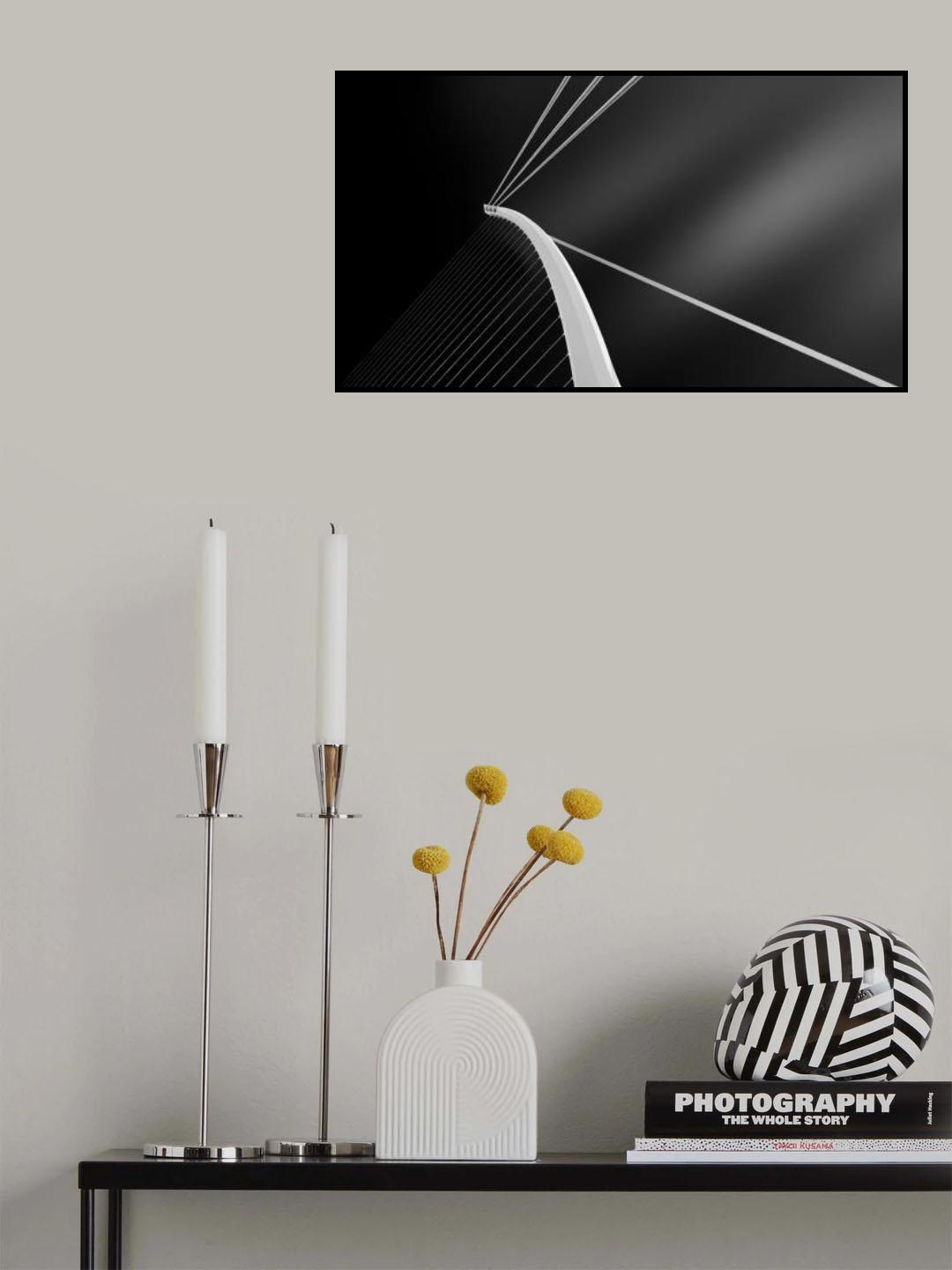 Harp related Poster och Canvastavla
