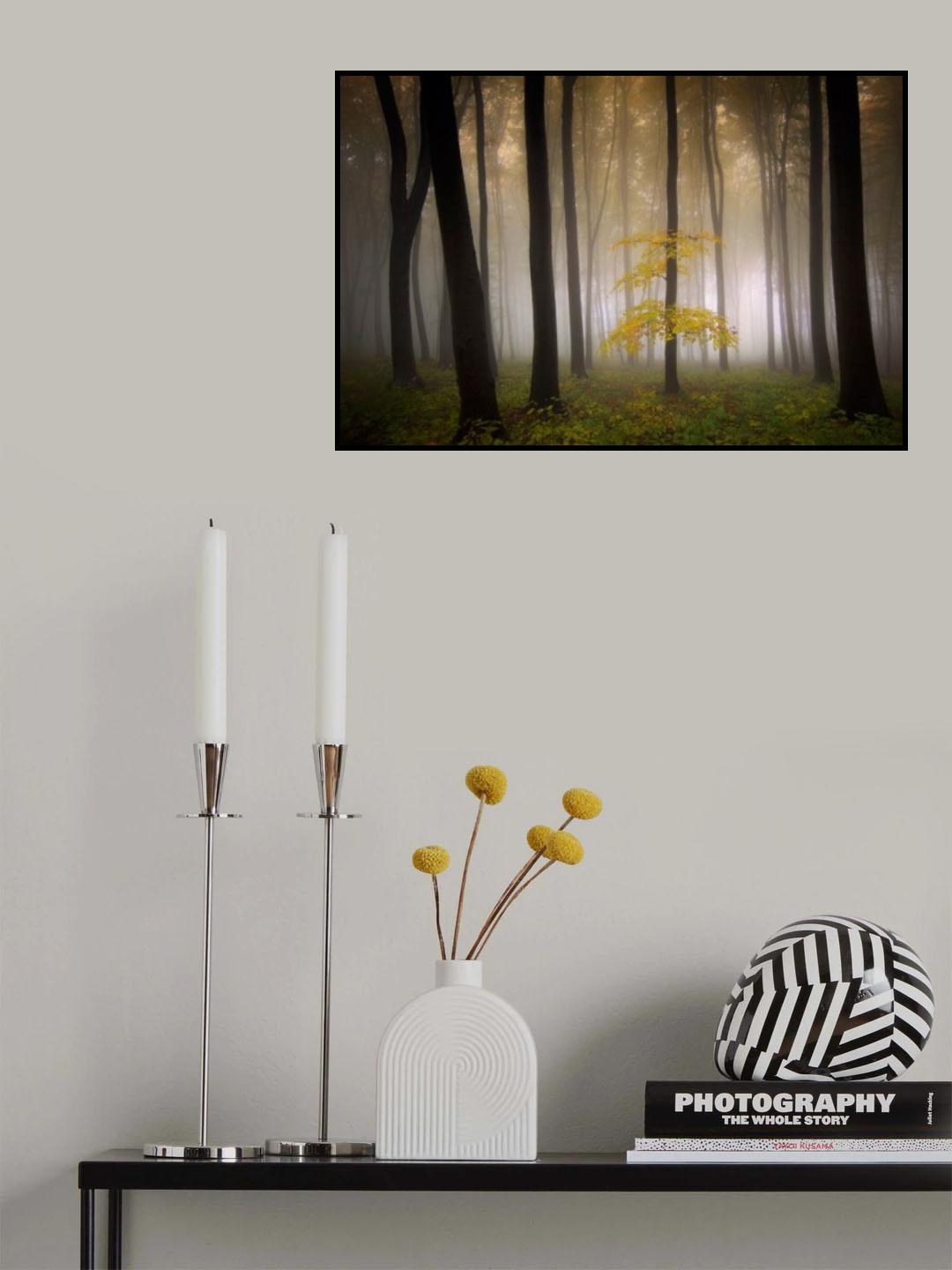 Touched by Autumn Poster och Canvastavla