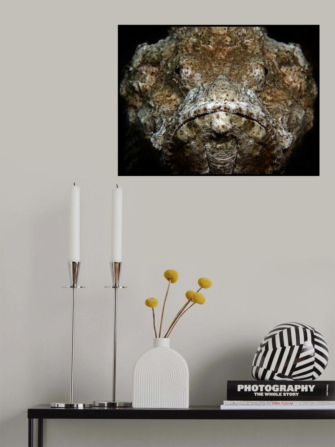 Scorpionfish Portrait Poster och Canvastavla