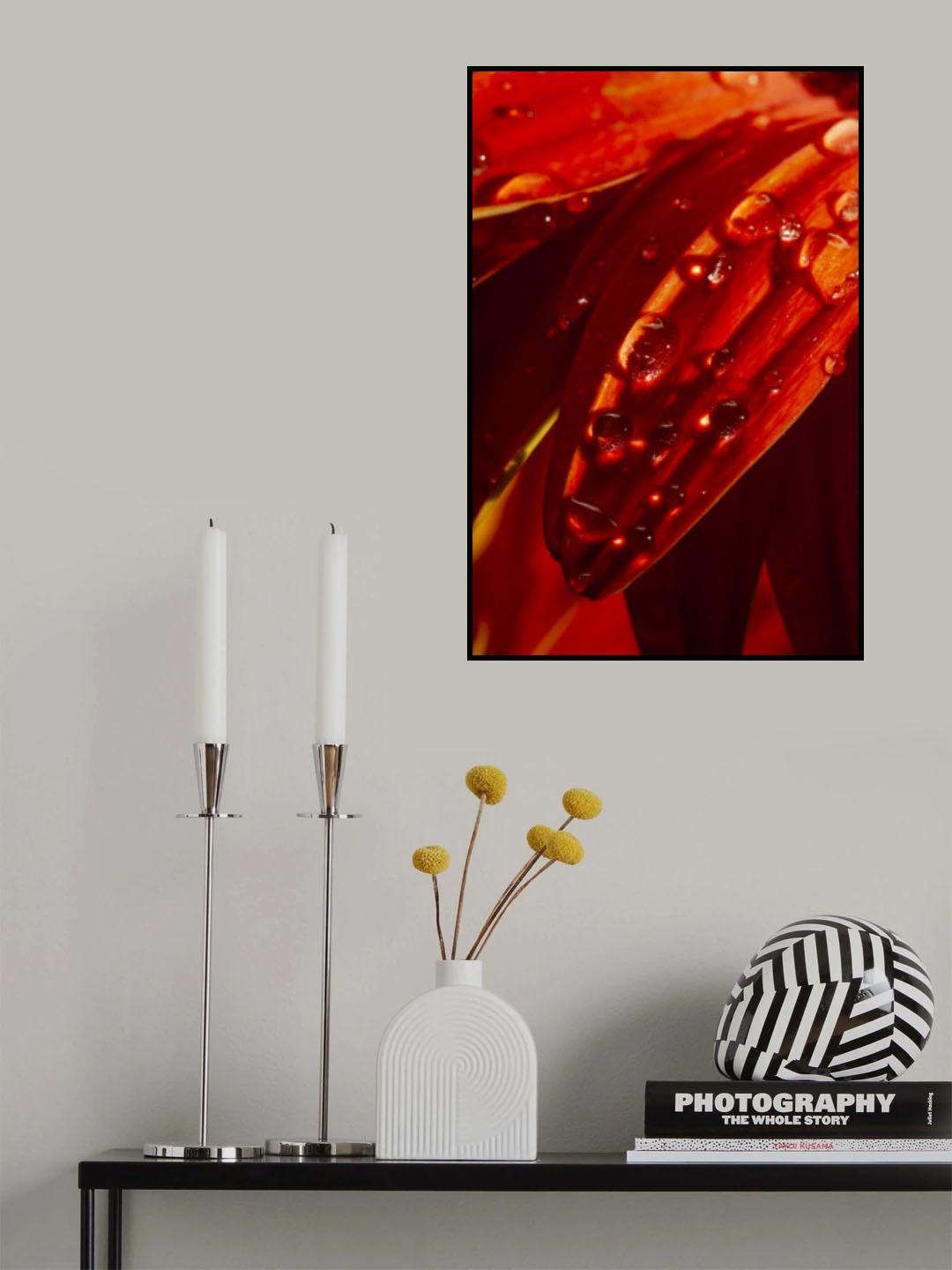 flower leaf and water drops Poster och Canvastavla
