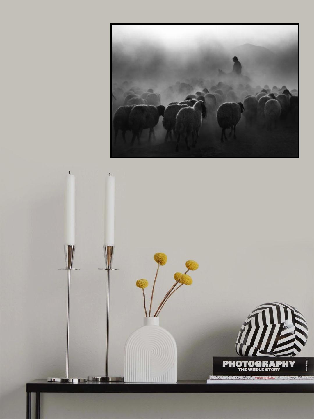 shepherd Poster och Canvastavla