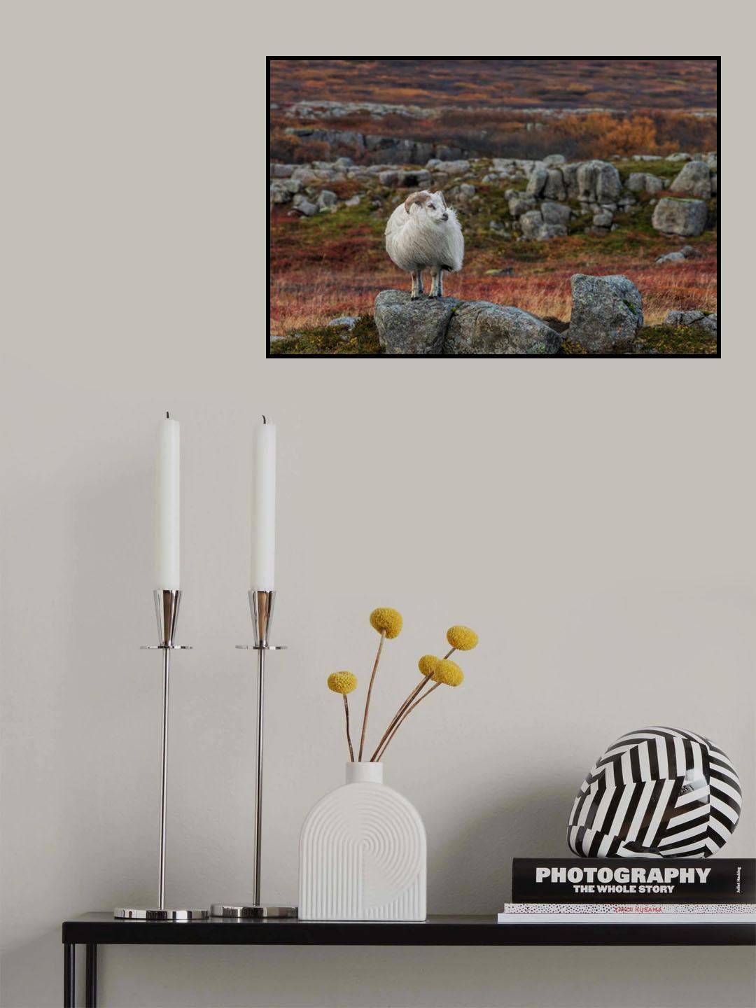 Waiting for the Winter Poster och Canvastavla