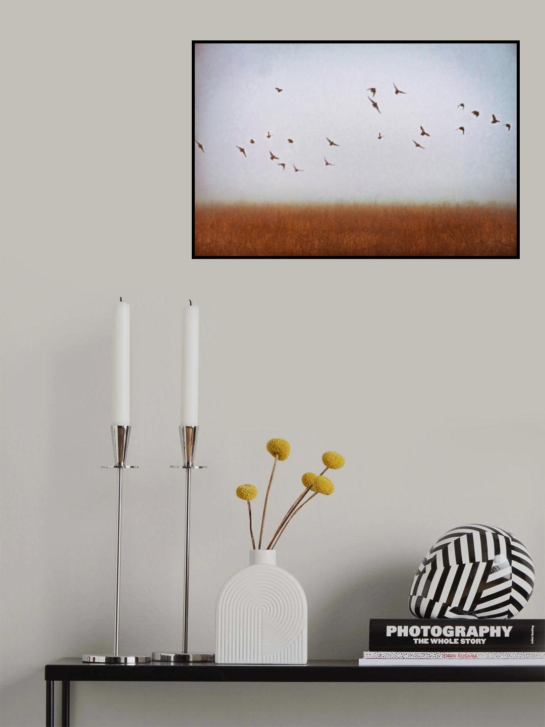 freedom Poster och Canvastavla