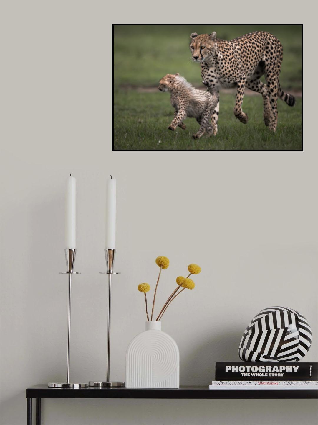 A Mother Protection Poster och Canvastavla